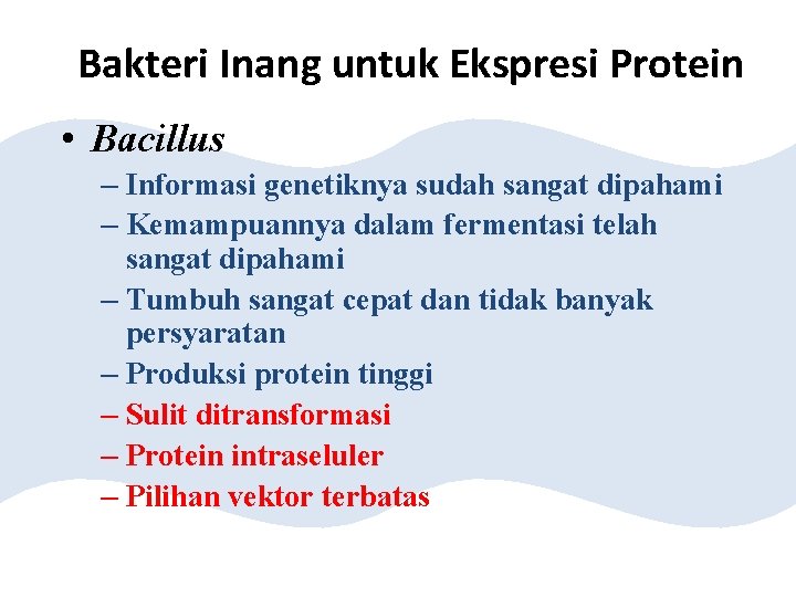Bakteri Inang untuk Ekspresi Protein • Bacillus – Informasi genetiknya sudah sangat dipahami –