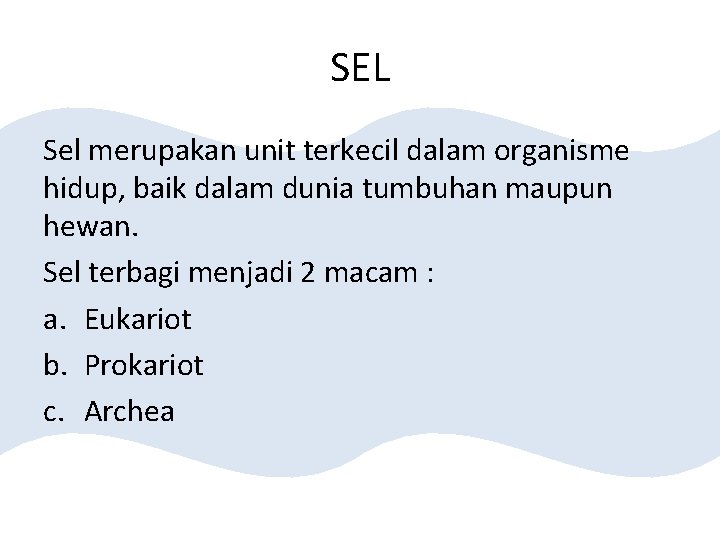 SEL Sel merupakan unit terkecil dalam organisme hidup, baik dalam dunia tumbuhan maupun hewan.