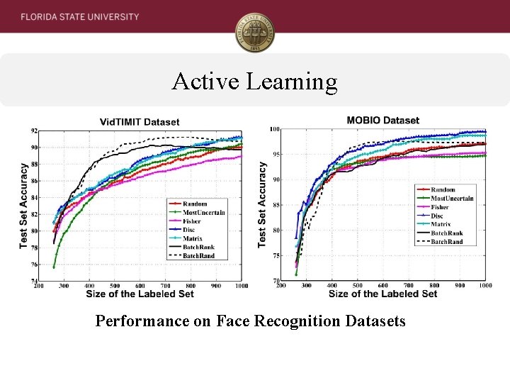 Active Learning Performance on Face Recognition Datasets 