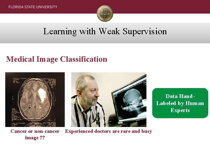 Learning with Weak Supervision Medical Image Classification Data Hand. Labeled by Human Experts Cancer