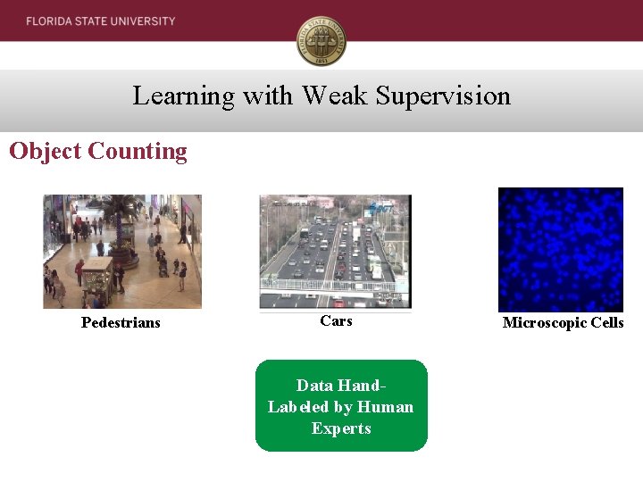 Learning with Weak Supervision Object Counting Pedestrians Cars Data Hand. Labeled by Human Experts