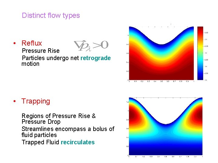 Distinct flow types • Reflux Pressure Rise Particles undergo net retrograde motion • Trapping
