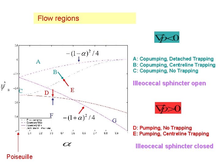 Flow regions A: Copumping, Detached Trapping B: Copumping, Centreline Trapping C: Copumping, No Trapping