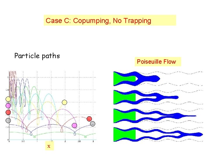 Case C: Copumping, No Trapping Particle paths x Poiseuille Flow 