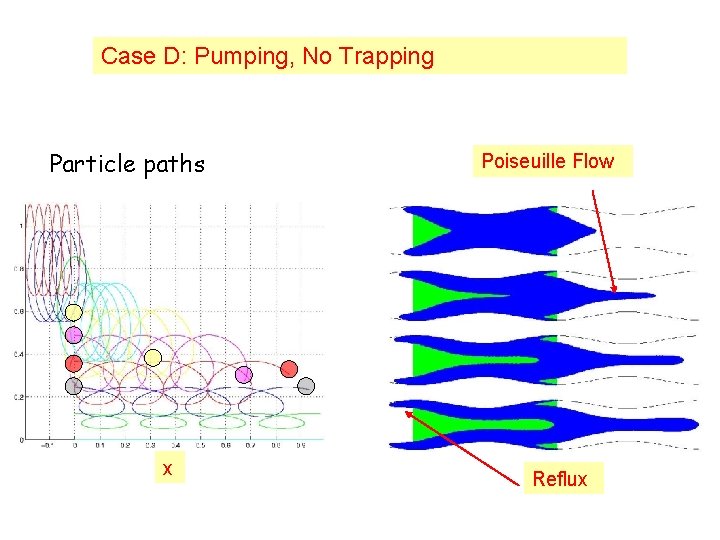 Case D: Pumping, No Trapping Particle paths x Poiseuille Flow Reflux 