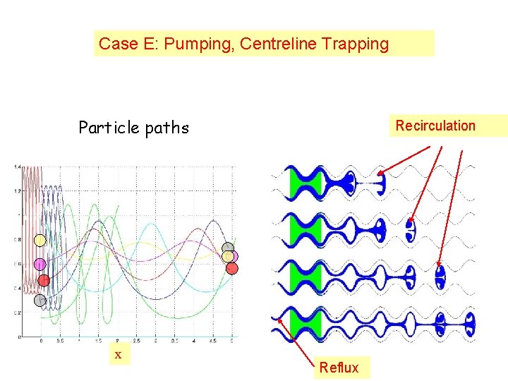 Case E: Pumping, Centreline Trapping Particle paths x Recirculation Reflux 