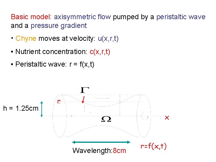 Basic model: axisymmetric flow pumped by a peristaltic wave and a pressure gradient •