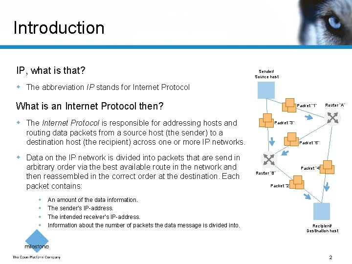 Introduction IP, what is that? Sender/ Source host The abbreviation IP stands for Internet