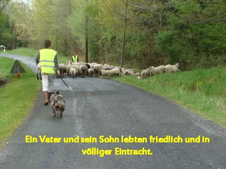 Ein Vater und sein Sohn lebten friedlich und in völliger Eintracht. 