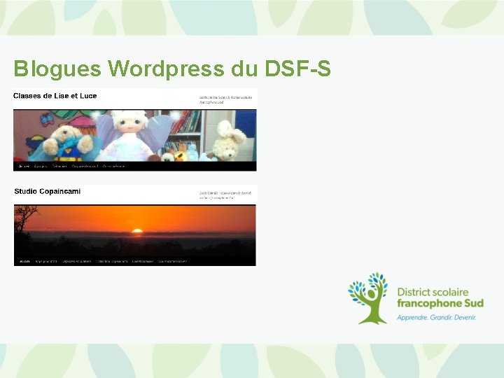 Blogues Wordpress du DSF-S 