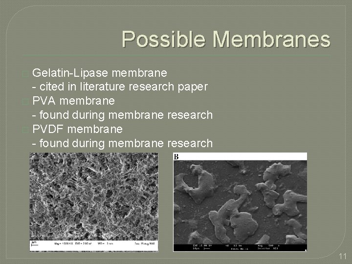 Possible Membranes Gelatin-Lipase membrane - cited in literature research paper � PVA membrane -