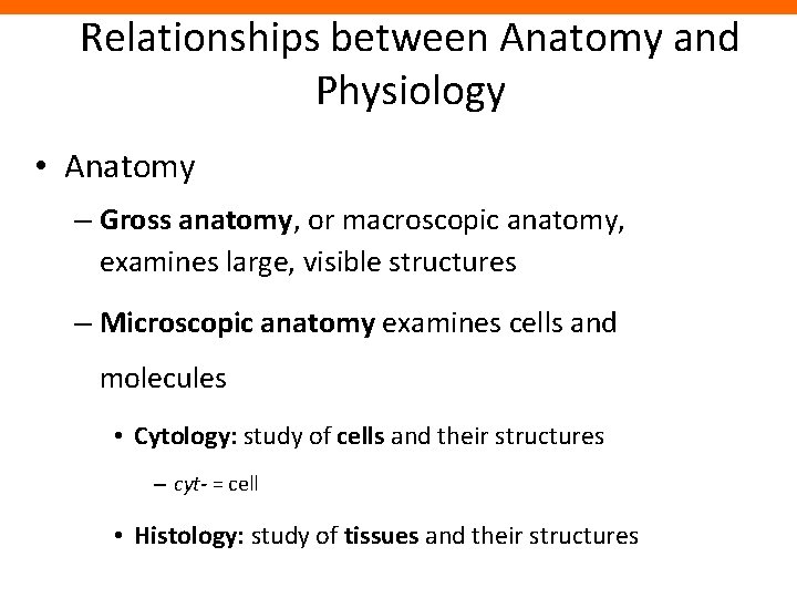 Relationships between Anatomy and Physiology • Anatomy – Gross anatomy, or macroscopic anatomy, examines