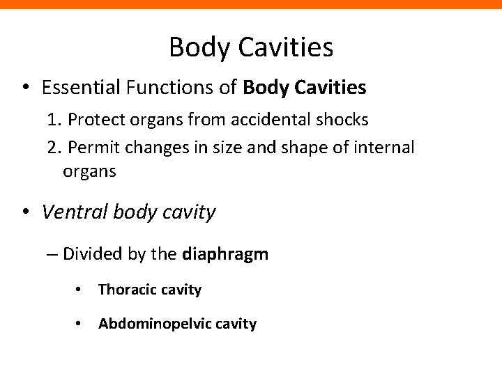 Body Cavities • Essential Functions of Body Cavities 1. Protect organs from accidental shocks