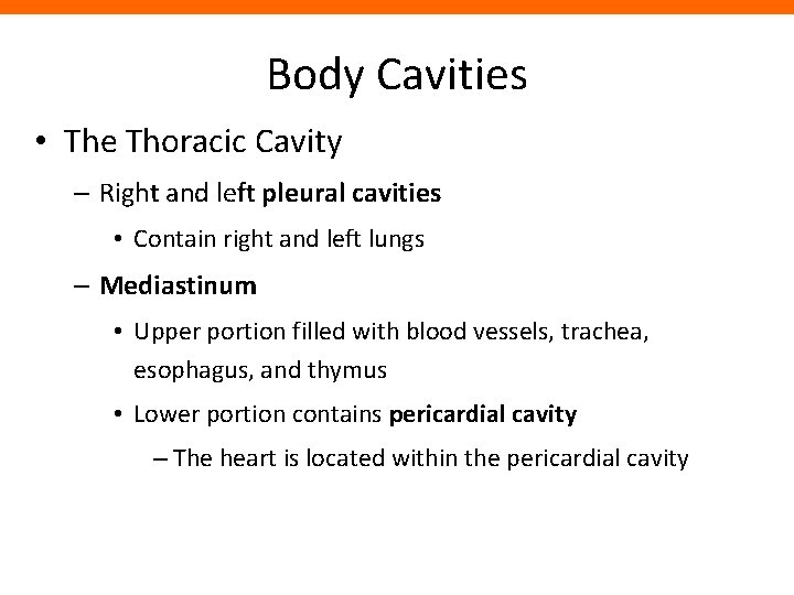 Body Cavities • The Thoracic Cavity – Right and left pleural cavities • Contain