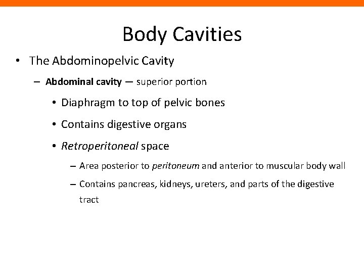 Body Cavities • The Abdominopelvic Cavity – Abdominal cavity — superior portion • Diaphragm