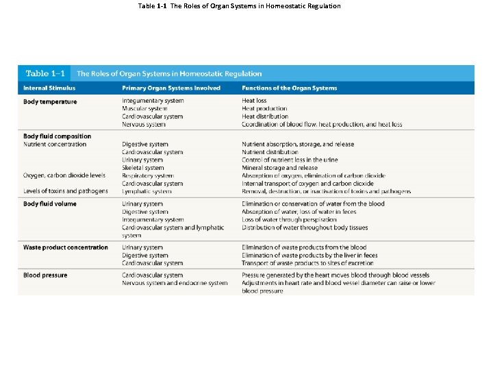 Table 1 -1 The Roles of Organ Systems in Homeostatic Regulation 