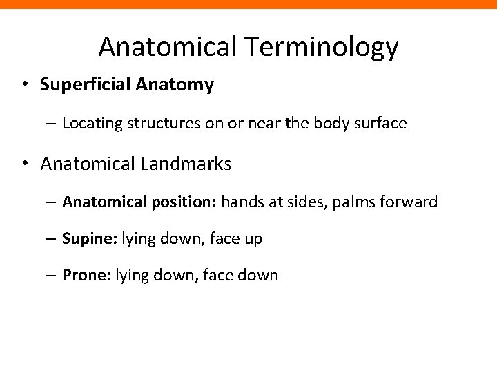 Anatomical Terminology • Superficial Anatomy – Locating structures on or near the body surface