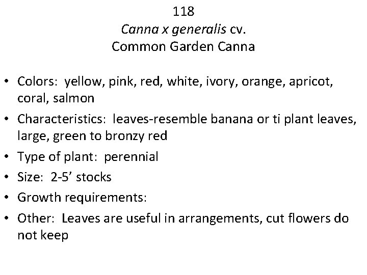 118 Canna x generalis cv. Common Garden Canna • Colors: yellow, pink, red, white,