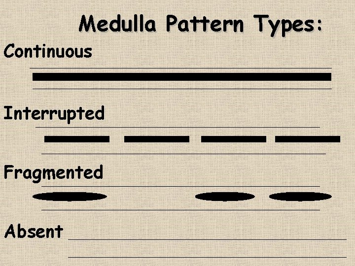 Medulla Pattern Types: Continuous Interrupted Fragmented Absent 