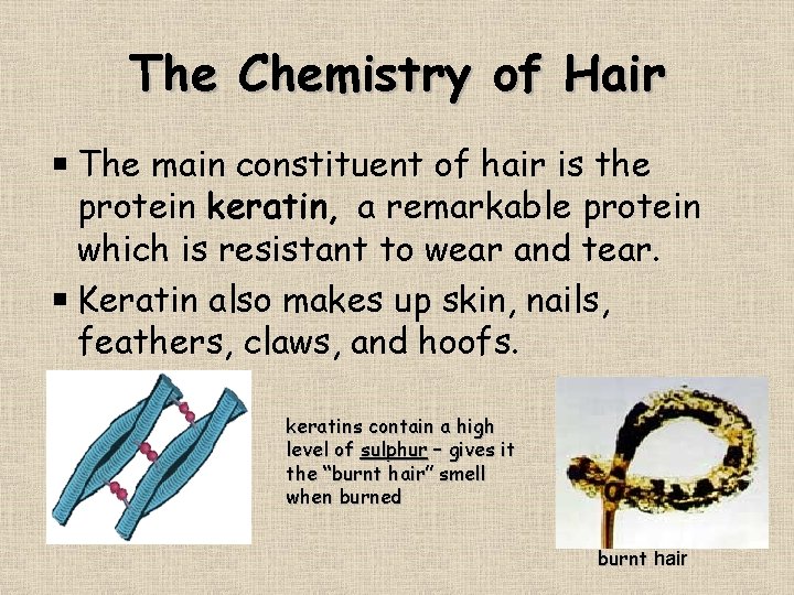 The Chemistry of Hair The main constituent of hair is the protein keratin, a