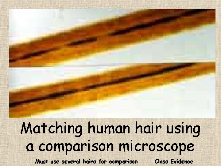 Matching human hair using a comparison microscope Must use several hairs for comparison Class