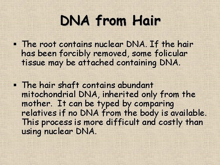 DNA from Hair § The root contains nuclear DNA. If the hair has been