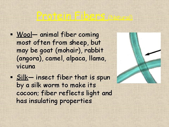 Protein Fibers (Natural) § Wool— animal fiber coming most often from sheep, but may