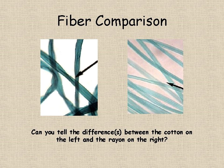 Fiber Comparison Can you tell the difference(s) between the cotton on the left and