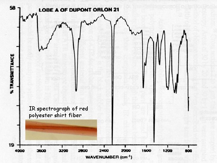 IR spectrograph of red polyester shirt fiber 