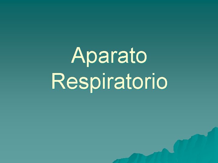 Aparato Respiratorio 
