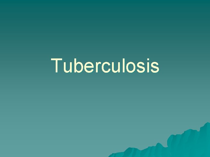Tuberculosis 