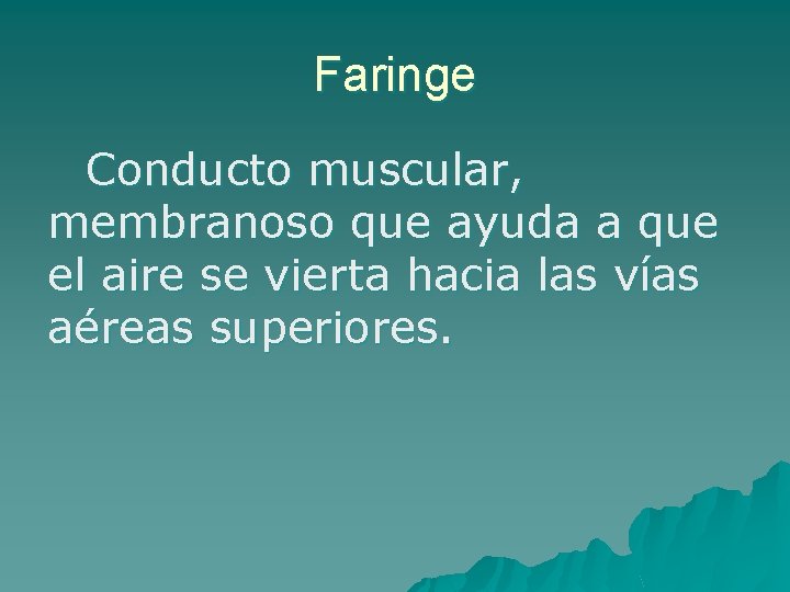 Faringe Conducto muscular, membranoso que ayuda a que el aire se vierta hacia las