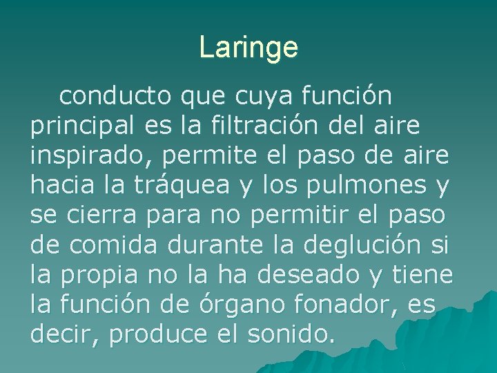 Laringe conducto que cuya función principal es la filtración del aire inspirado, permite el