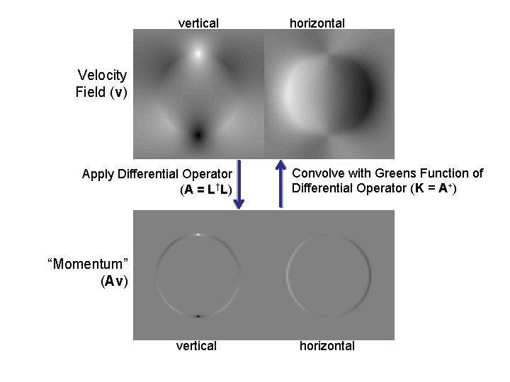 vertical horizontal Velocity Field (v) Apply Differential Operator (A = L†L) Convolve with Greens