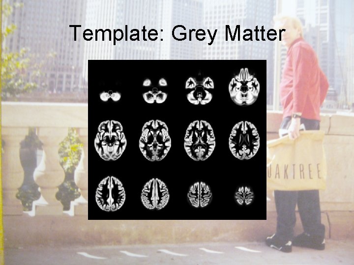 Template: Grey Matter 