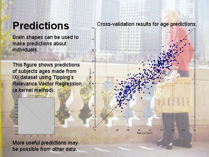 Predictions Brain shapes can be used to make predictions about individuals. This figure shows