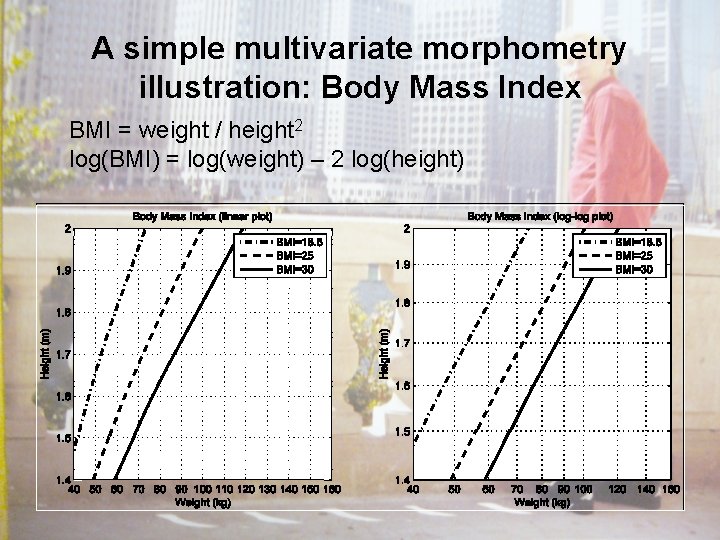 A simple multivariate morphometry illustration: Body Mass Index BMI = weight / height 2