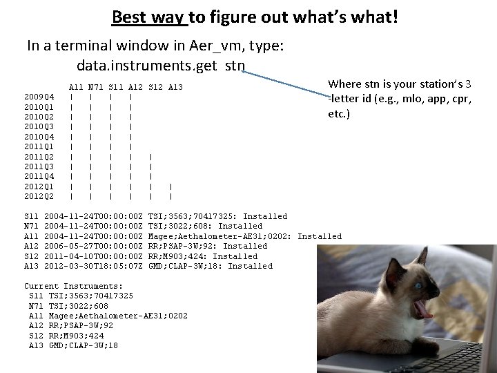 Best way to figure out what’s what! In a terminal window in Aer_vm, type: