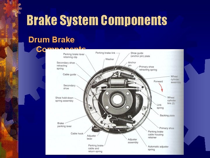 Brake System Components Drum Brake Components 