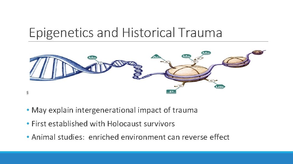Epigenetics and Historical Trauma • May explain intergenerational impact of trauma • First established