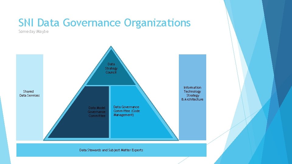 SNI Data Governance Organizations Someday Maybe Data Strategy Council Information Technology Strategy & Architecture