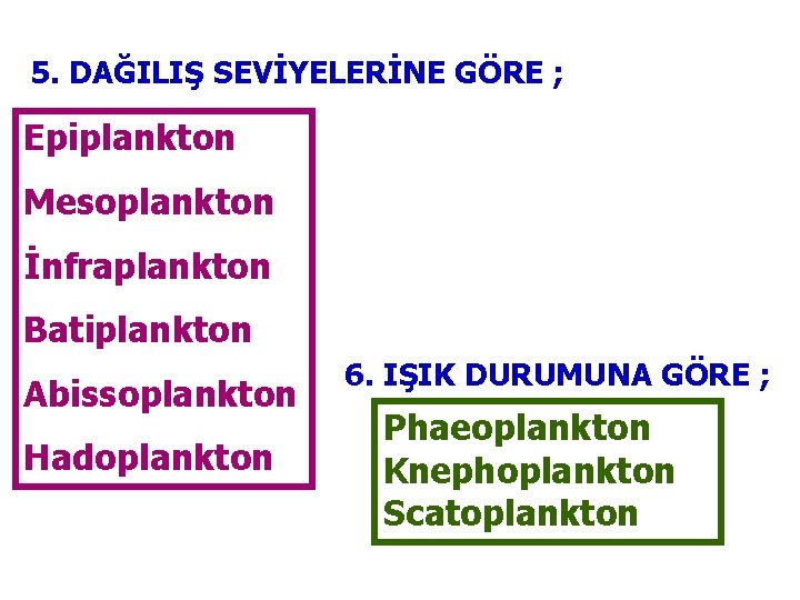 5. DAĞILIŞ SEVİYELERİNE GÖRE ; Epiplankton Mesoplankton İnfraplankton Batiplankton Abissoplankton Hadoplankton 6. IŞIK DURUMUNA