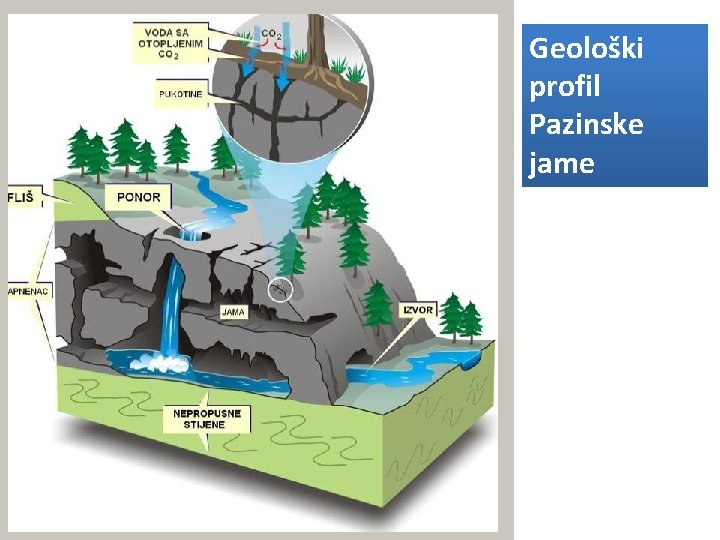 Geološki profil Pazinske jame 