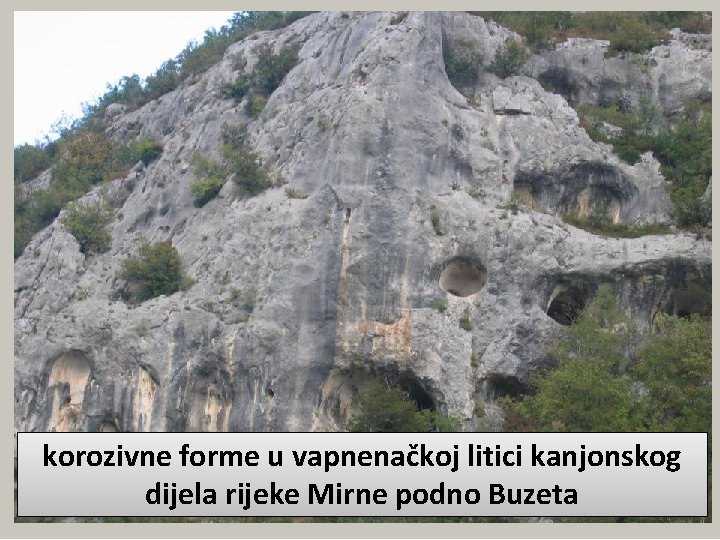 korozivne forme u vapnenačkoj litici kanjonskog dijela rijeke Mirne podno Buzeta 