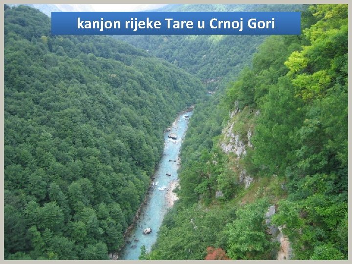 kanjon rijeke Tare u Crnoj Gori 