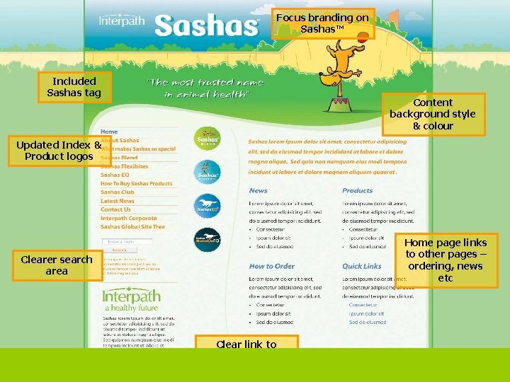 Focus branding on Sashas™ Included Sashas tag Content background style & colour Updated Index