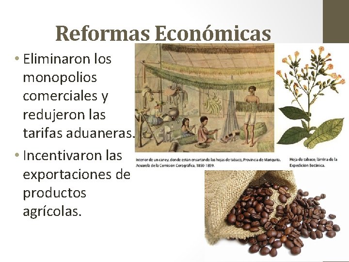 Reformas Económicas • Eliminaron los monopolios comerciales y redujeron las tarifas aduaneras. • Incentivaron
