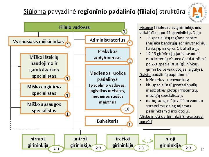 Siūloma pavyzdinė regioninio padalinio (filialo) struktūra Filialo vadovas Vyriausiasis miškininkas Miško išteklių naudojimo ir