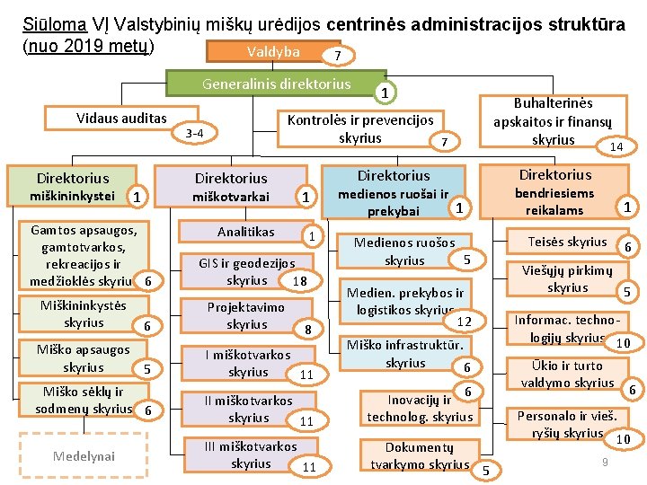 Siūloma VĮ Valstybinių miškų urėdijos centrinės administracijos struktūra (nuo 2019 metų) Valdyba 7 Generalinis