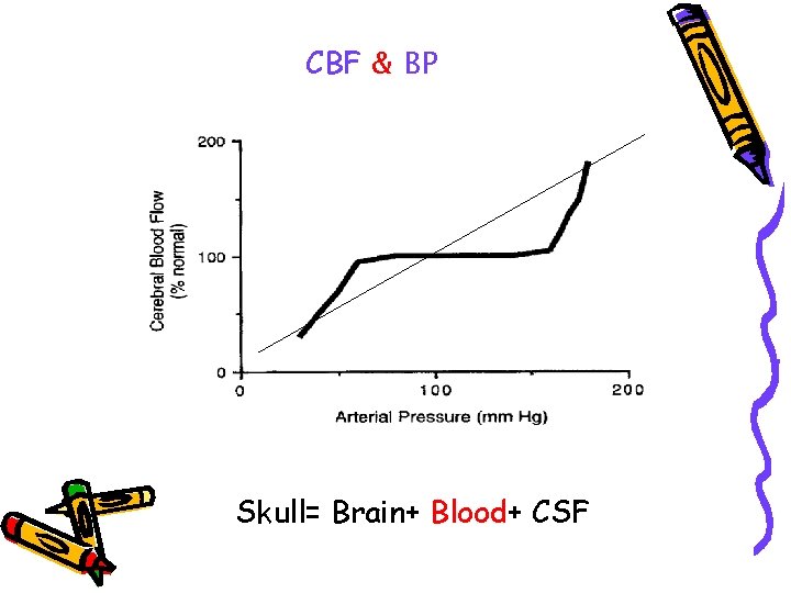 CBF & BP Skull= Brain+ Blood+ CSF 